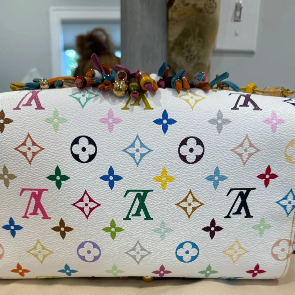 Louis Vuitton X Murakami Vintage Multicolor Fringe Speedy 25 Handbag - Picture 7 of 10